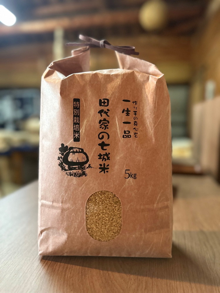 田代家の七城米（玄米）